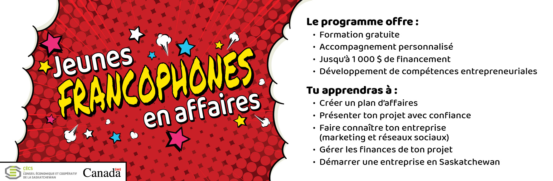 Jeunes francophones en affaires 2